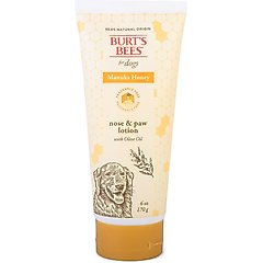 Burt's Bees Manuka Honey Paw & Nose Olive Oil Dog Lotion, 6-fl oz bottle