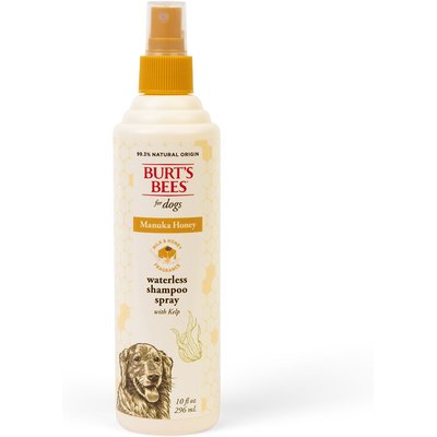 Burt's Bees Burt's Bees Manuka Honey Waterless Kelp Dog Shampoo Spray, 10-fl oz bottle