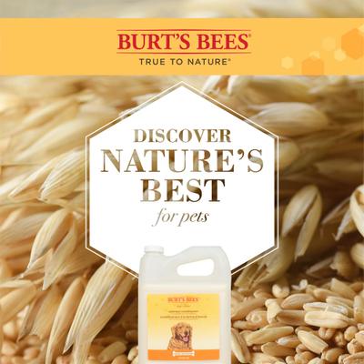 Show full view: Burt's Bees Oatmeal Dog Conditioner, 1-gal slide 4 of 4