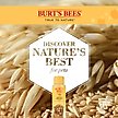Show in main carousel: Burt's Bees Oatmeal with Colloidal Oat Flour & Honey Dog Shampoo, 16-fl oz bottle slide 4 of 12