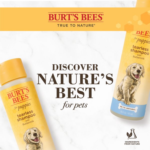 Burt's Bees Tearless Puppy Shampoo with Buttermilk for Dogs