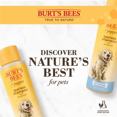 Show full view: Burt's Bees Tearless Puppy Shampoo with Buttermilk for Dogs, 16-fl oz bottle slide 4 of 12