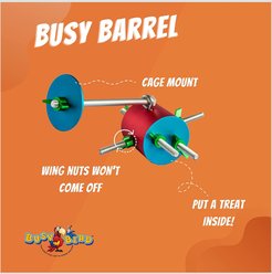 Busy Bird Busy Barrel Bird Toy slide 2 of 6