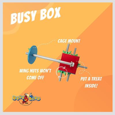 Show full view: Busy Bird Busy Box Bird Toy slide 2 of 5