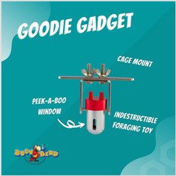 Busy Bird Goodie Gadget Bird Toy slide 2 of 5