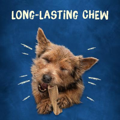 Show full view: Busy Bone Long Lasting Rawhide-Free Real Meat Mini Dog Treats, 12 count slide 6 of 13