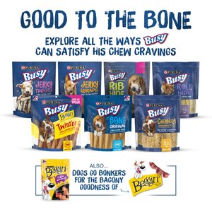 Busy Bone Peanut Butter Flavor Long-Lasting Chew Adult Small/Medium Dog Treats, 10 count pouch