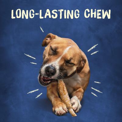 Show full view: Busy Bone Rib Hide, Long-Lasting Small/Medium Dog Treat, 24 count bundle slide 7 of 13