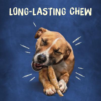 Show full view: Busy Bone Rib Hide, Long-Lasting Small/Medium Dog Treats, 12 count pouch slide 7 of 13