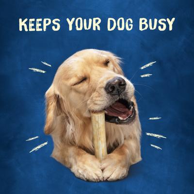 Show full view: Busy Bone Rollhide, Long-Lasting Large Dog Treats, 2 count pouch slide 4 of 12