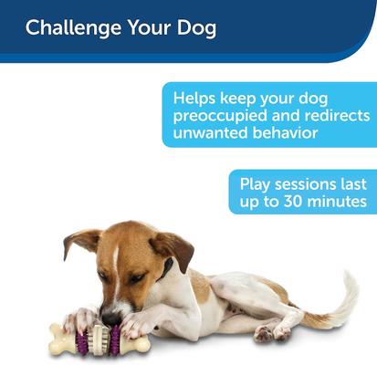 Show full view: Busy Buddy Bristle Bone Treat Dispenser Tough Dog Chew Toy, Medium + Busy Buddy Peanut Butter & Rawhide Variety Pack Refill Rings Dog Treat, Medium slide 4 of 9