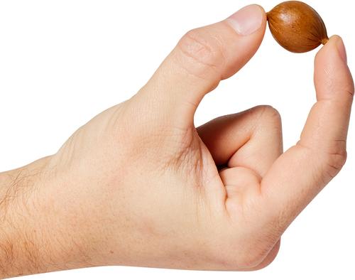 Show full view: Butcher's Naturals Slow Roasted Beef Pearls Soft & Chewy Dog Treats, 10-oz bag slide 5 of 11