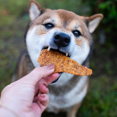 Show full view: Butcher's Naturals Slow Roasted Chicken Jerky Dog Treats, 16-oz bag slide 6 of 11