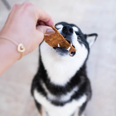 Show full view: Butcher's Naturals Slow Roasted Chicken Jerky Dog Treats, 16-oz bag slide 8 of 11