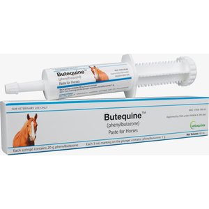 Butequine Phenylbutazone (Generic) Paste for Horses, 20gm, 60mL Syringe
