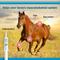 Show in main carousel: Butequine Phenylbutazone (Generic) Paste for Horses, 20gm, 60mL Syringe slide 4 of 5