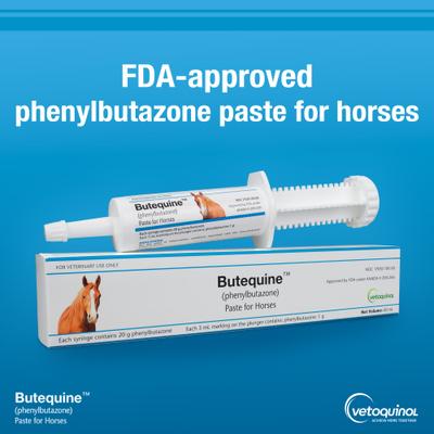 Show full view: Butequine Phenylbutazone (Generic) Paste for Horses, 20gm, 60mL Syringe slide 3 of 5