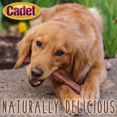 Show full view: Cadet Bully Sticks Dog Chews, 10 count slide 4 of 12