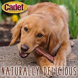 Cadet Bully Sticks Dog Chews, 3 count slide 2 of 9