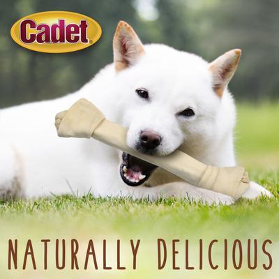 Show full view: Cadet Beef Hide 15 to 16-inch Knotted Bone Dog Chew slide 6 of 8