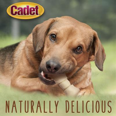 Show full view: Cadet Premium Beef Hide Knotted Bone Beef Flavor Dog Chews, 4-5-in, 2-lb bag slide 6 of 10