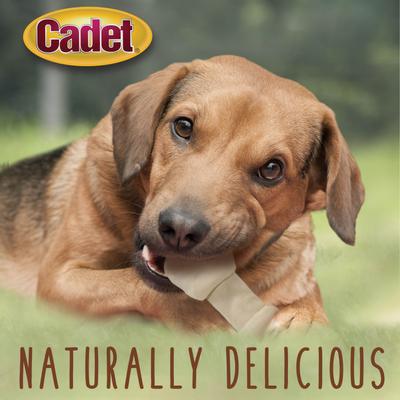 Show full view: Cadet Premium Beef Hide Knotted Bone Beef Flavor Dog Chews, 4 count slide 5 of 10