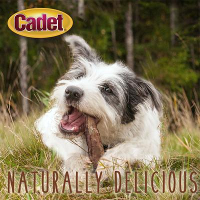 Show full view: Cadet Gourmet Beef Rib Bones Beef Flavor Dog Bones, 3 count slide 5 of 8