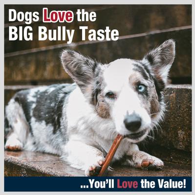 Show full view: Cadet Bully Hide Sticks Dog Chews, Small, 9 count slide 7 of 11