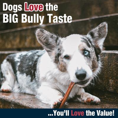 Show full view: Cadet Bully Hide Sticks Dog Chews, Small slide 7 of 12