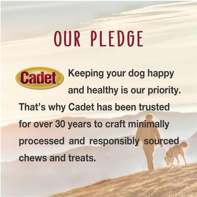 Show full view: Cadet Extra-Thick Bully Sticks Dog Chews, Large, 2 count slide 9 of 11