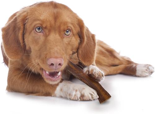 Show full view: Cadet 100% Real Beef Strips Beef Flavor Dog Chews, 1.4-oz bag slide 5 of 11