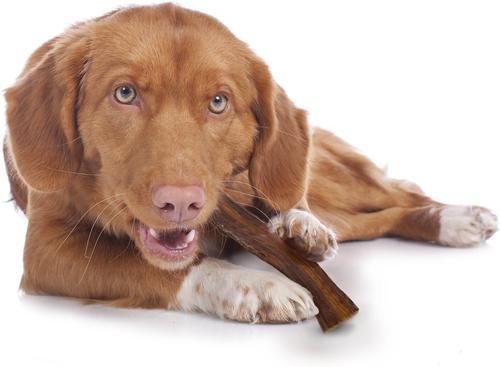 Show full view: Cadet 100% Real Beef Strips Beef Flavor Dog Chews, 8-oz slide 9 of 12