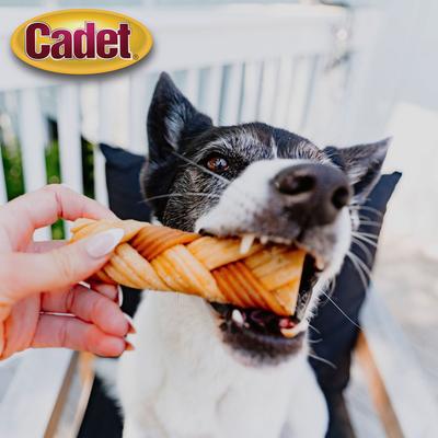 Show full view: Cadet Chewalicious Chewy 'N Crunchy Braids Chicken Flavor Dog Chews, Small, 7 count slide 7 of 12