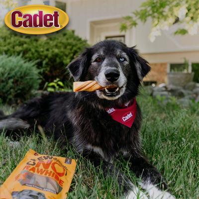 Show full view: Cadet Chewalicious Chewy 'N Crunchy Spirals Chicken Flavor Dog Chews, Small, 3 count slide 4 of 10