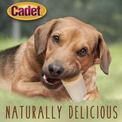 Show full view: Cadet Double Stuffed Shin Bones Bacon & Cheese Flavor Large Dog Bones, 6-oz slide 5 of 9