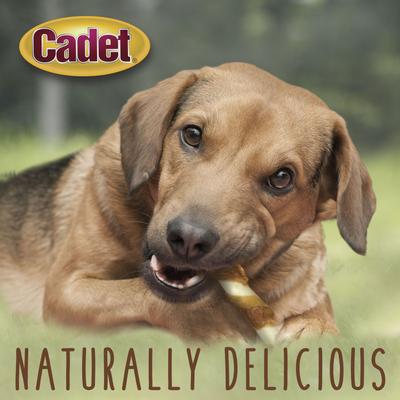Show full view: Cadet Gourmet Beef Hide & Chicken Twists Sticks Chicken Flavor Dog Chews, 8-in, 6 count slide 5 of 10