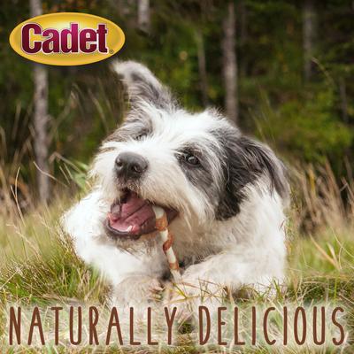 Show full view: Cadet Gourmet Beef Hide & Chicken Twists Sticks Chicken Flavor Dog Chews, 5-in, 50 count slide 7 of 12