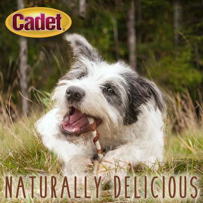 Show full view: Cadet Gourmet Beef Hide & Duck Dog Twist Sticks Duck Flavor Dog Chews, 5-in, 50 count slide 7 of 12