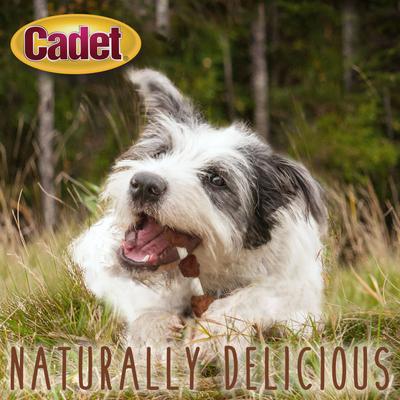Show full view: Cadet Gourmet Beef Hide Shish Kabobs Chicken, Liver & Sweet Potato Flavor Small Dog Chews, 24-oz bag slide 7 of 11