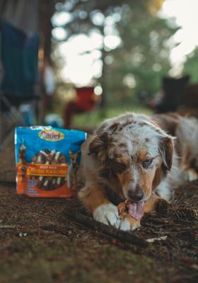 Show full view: Cadet Gourmet Beef Hide Shish Kabobs Chicken, Liver & Sweet Potato Flavor Small Dog Chews, 24-oz bag slide 3 of 11