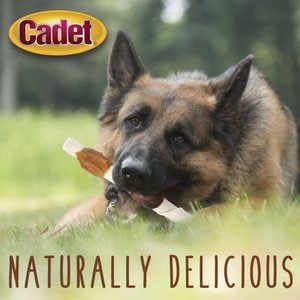 Cadet Gourmet Beef Hide Shish Kabobs Chicken & Sweet Potato Flavor Dog Chews, X-Large, 2 count