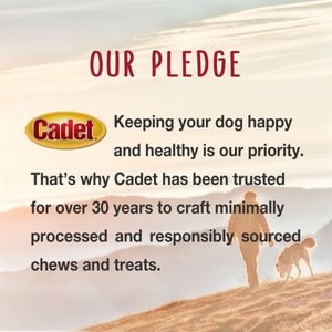 Cadet Gourmet Beef Hide Shish Kabobs Chicken & Sweet Potato Flavor Dog Chews, X-Large, 2 count