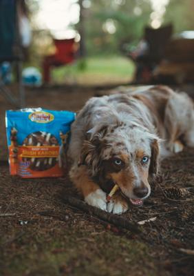 Show full view: Cadet Gourmet Beef Hide Shish Kabobs Chicken, Liver & Sweet Potato Flavor Small Dog Chews, 12-oz slide 3 of 12