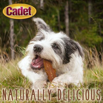 Show full view: Cadet Gourmet Chicken Breast Jerky Treats Chicken Flavor Dog Treats, 28-oz bag slide 5 of 12