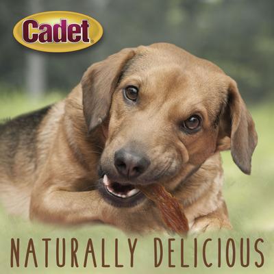 Show full view: Cadet Gourmet Duck Breast Jerky Treats Duck Flavor Dog Treats, 14-oz pouch slide 6 of 13