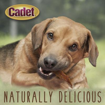 Show full view: Cadet Gourmet Duck Breast Jerky Treats Duck Flavor Dog Treats, 3-oz pouch slide 5 of 13