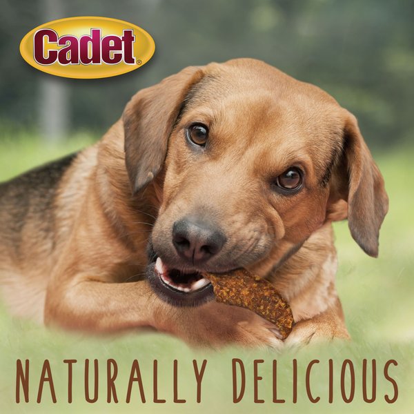 Cadet Gourmet Jerky Treats Turducken Flavor Dog Treats