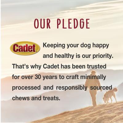 Show full view: Cadet Gourmet Pork Hide Shish Kabobs Pork Flavor Dog Chews, X-Large, 4 count slide 7 of 9