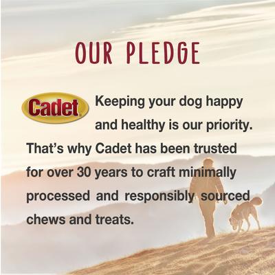 Show full view: Cadet Junior Stuffed Shin Bones Peanut Butter Flavor Dog Bones, Mini, 2 count slide 6 of 9