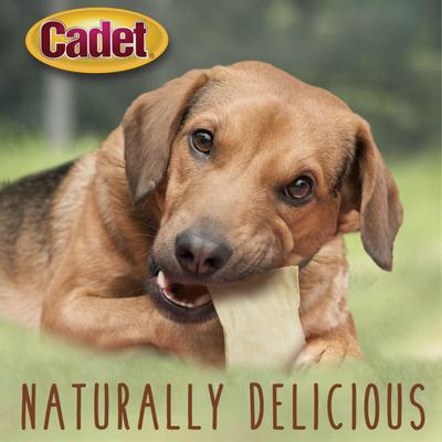 Show full view: Cadet Premium Beef Hide Chips Beef Flavor Dog Chews, 2-lb bag slide 5 of 10
